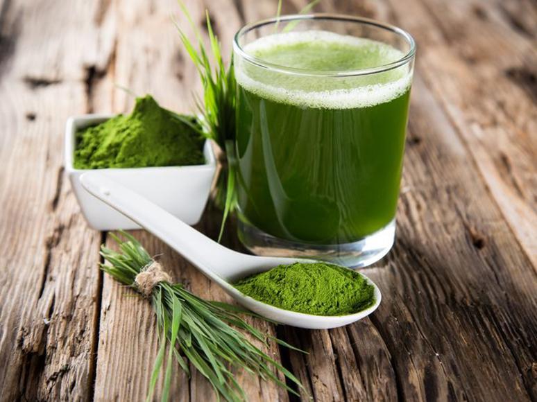 Barley Grass Tea